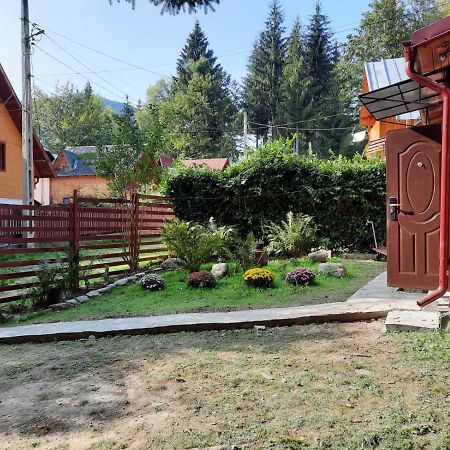 Casuta Paterau Cheia, Prahova Villa Kheja Kültér fotó