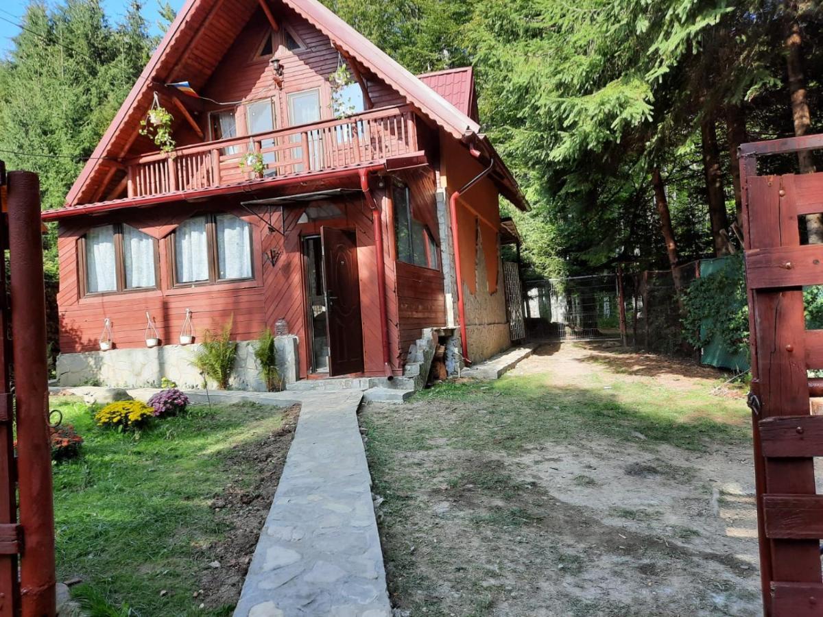 Casuta Paterau Cheia, Prahova Villa Kheja Kültér fotó
